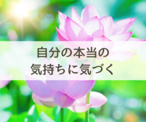 光に輝くハスの花